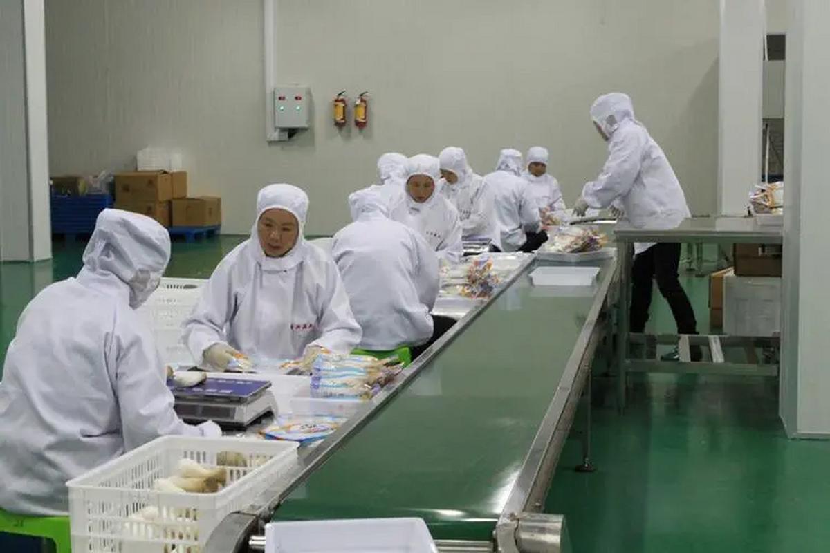 提高清洗效率,降低运营成本,为食品加工厂带来清洁,卫生,环保的清洗新