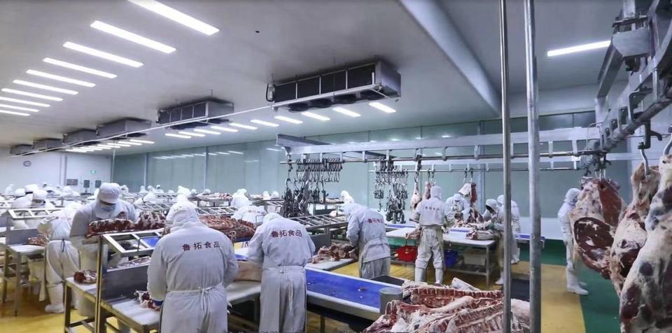 山东鲁拓高质量发展 谱写牛肉加工产业的“牛文章”